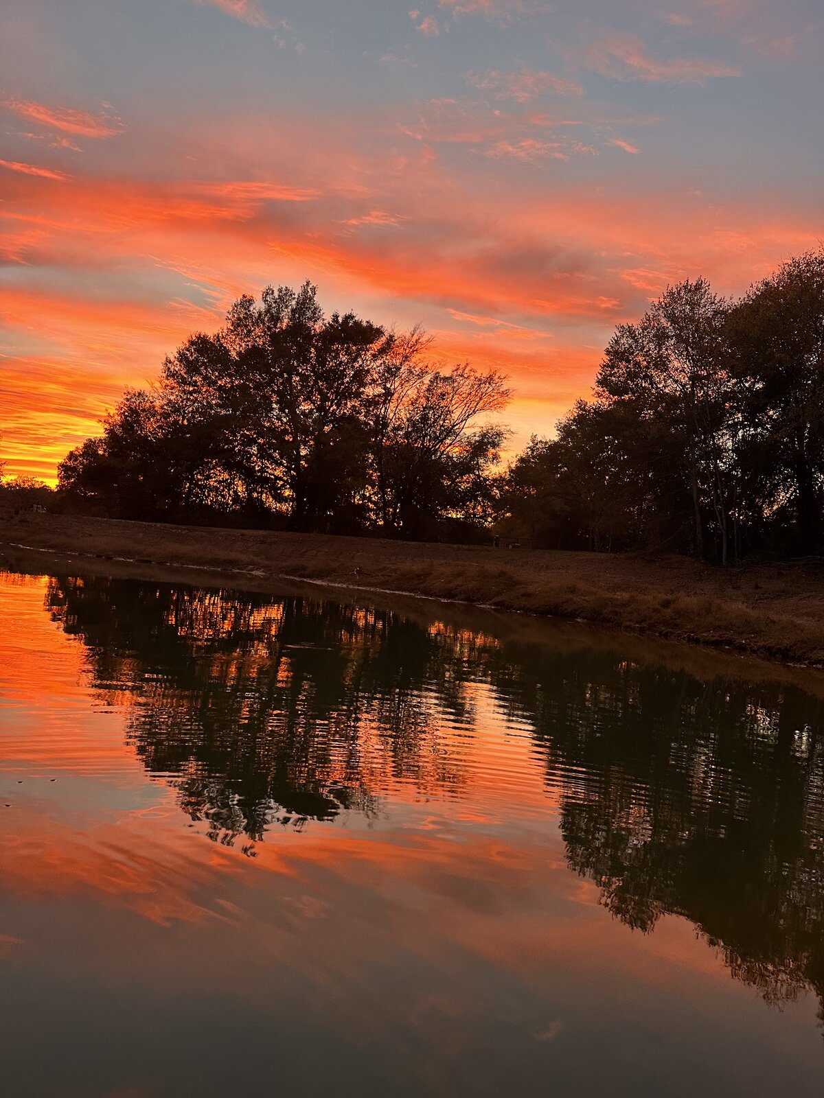 Texas Sunsets
