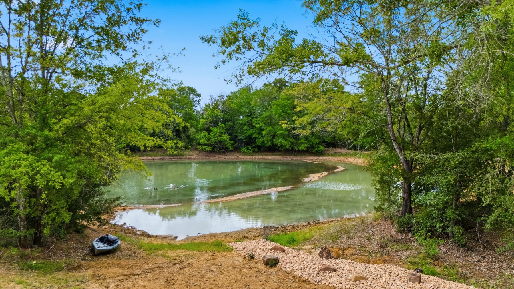 Quiet Pond